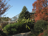 JR Raulston Arboretum